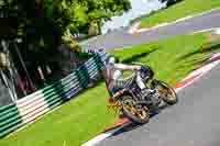 Vintage-motorcycle-club;eventdigitalimages;mallory-park;mallory-park-trackday-photographs;no-limits-trackdays;peter-wileman-photography;trackday-digital-images;trackday-photos;vmcc-festival-1000-bikes-photographs